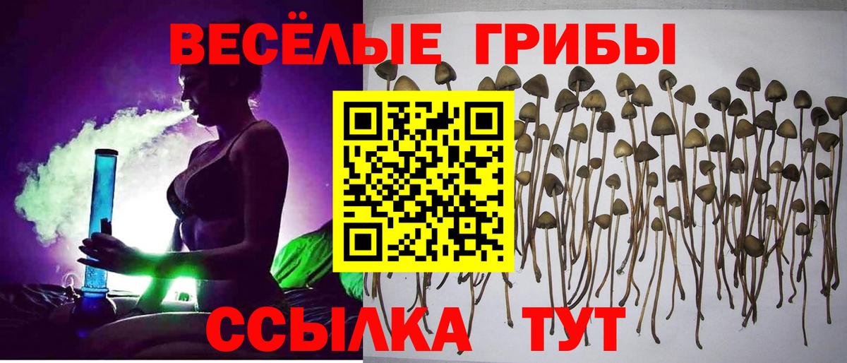 Улан-Удэ  Псилоцибиновые грибы прущие грибы  Галлюциногенные грибы GOLDEN TEACHER  Вход с VPN 