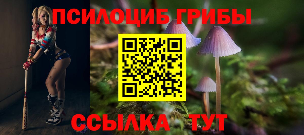 Галлюциногенные грибы Magic Shrooms Улан-Удэ